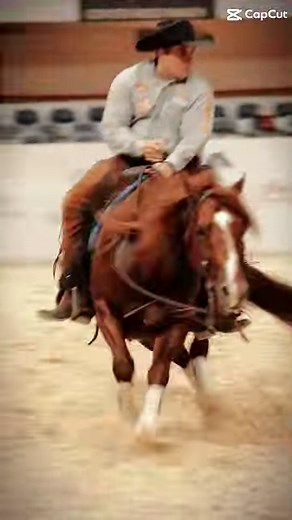 #WisdomWednesday High Brow Cat 𝗈𝖿𝖿𝗌𝗉𝗋𝗂𝗇𝗀 𝗍𝗈𝗈𝗄 𝗁𝗈𝗆𝖾 𝘸𝘦𝘭𝘭 𝘰𝘷𝘦𝘳 $𝟭𝟮𝟬,𝟬𝟬𝟬 𝖺𝗍 𝗍𝗁𝖾 𝟮𝟬𝟮𝟯 𝗡𝗖𝗛𝗔 NRR Cat King Cole 𝗦𝘂𝗽𝗲𝗿 𝗦𝘁𝗮𝗸𝗲𝘀!💰💰 𝘊𝘰𝘯𝘨𝘳𝘢𝘵𝘶𝘭𝘢𝘵𝘪𝘰𝘯𝘴 𝘵𝘰 𝘢𝘭𝘭 𝘧𝘪𝘯𝘢𝘭𝘪𝘴𝘵𝘴!! ∙∙#nchasuperstakes #highbrowcat #90million #legacy #leadingsire #teamhbc #weatherfordequinebreedingcenter #aqhahistory #aqha #ncha #nrcha #barrelracing #roping #coltventures #kenzingtonmedia #horses #beechforkranch #cuttinghorses #cowhorses | High Brow Cat