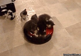 At CES Roborock revealed a vacuum with a robotic arm that picks up objects before cleaning—making us wonder if robots will soon unionize. | Nixie Pixel