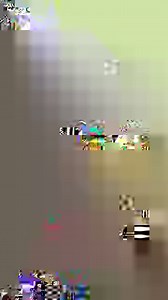 3.8K views · 181 reactions | Cada día en el mar es una nueva aventura.  Con tantas cosas que hacer a bordo, ¡es imposible aburrirse! Compruébalo por ti mismo en MSC Seashore.  https://bit.ly/3ZwzYb5 | MSC Cruceros | Facebook