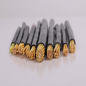 [Hot Item] Ruitian Copper Conductor Shielded PVC Sheathed Flexible Control Cable