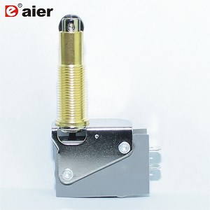 [Hot Item] Electrical Door Elevator Plunger Burgess Micro Switch 16A 250V