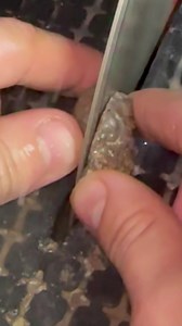 14 reactions | Colorado baby thunder eggs cut open! #thunderegg #colorado #gem | Kaines Crystals | Facebook