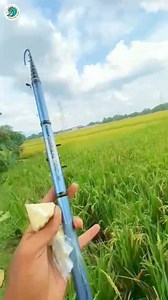 Mancing microfishing spot wader !? Jangan lupa ikuti trimakasih #mancing #microfishing #tipsmancing #mancingwader | Mancing rawa