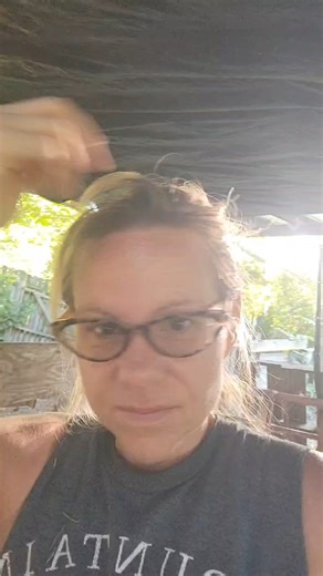 Hard decisions on the farm and garden update | Resistance Chicks