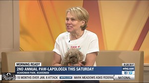 Paw-Lapalooza returns to Boardman Park | 21 WFMJ