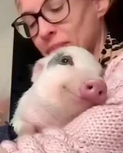 and yes I did cook a single slice of bacon for this video | Dazza