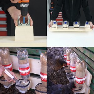 Very Easy DIY Chicken Feeders | Dresses And Fashion