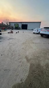 7K views · 734 reactions | Harrdy Sandhu on Reels | Facebook