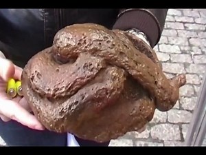 Dog Poop Posted Back To Owners By Brunete Council, Madrid, Spain