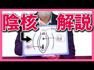 【陰核】世界一わかりやすいクリトリスの取り扱い説明書！女性が本当に望む理想的な刺激を学べ！【性知識】