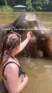 Camp Thailand - Ultimate Adventure: Immerse yourself in Bangkok's vibrant cultures, dance through Thailand's stunning islands, hop from one paradise to another, contribute to elephant conservation, explore ancient temples, and stay in a unique floating lake hut! Ready for the ultimate adventure? 🌏🏝️ #travelthailand #amazingthailand #travelasia #grouptour #grouptrip #gapyeartravels #thailanditinerary #thingstodointhailand | Camp Thailand