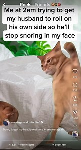 Morgan Ellis on Reels