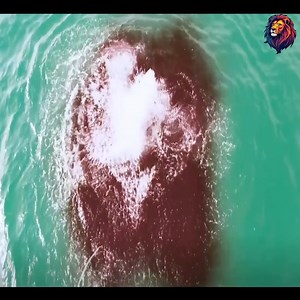 The most viral scene of 2025 | Vietnam Fitness Academy | Facebook