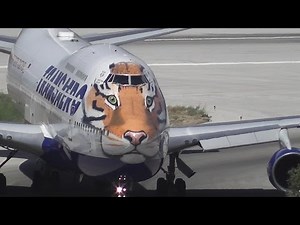 Tiger Boeing 747 Landing and Take-off