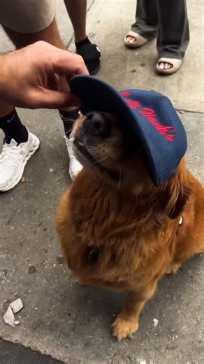 Salt Hank’s on Instagram: "I fucking love my team I fuckin love you guys, thank you so much for making this dream a reality. HAPPY HOLIDAYSSSSS FUCK YEAH"