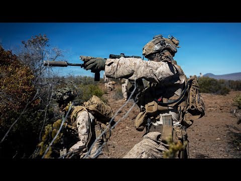 U.S. Marines Conduct Live-Fire Squad Attacks (Jan 2026)