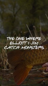 2.6K views · 27 reactions | WATCH FREE WITH CODE CYP900! CELEBRATING...