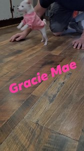 Rescuers Without Borders on Reels