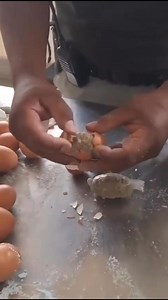 🔵ENCUENTRAN HUEVOS RELLENOS DE DROGA CUANDO INTENTARON INGRESAR AL PENAL. Cada día se ingenian para el ingreso de sustancias prohibidas en los establecimientos penitenciarios del país. Recientemente el personal del INPE del Penal Ancón II, intervinieron a una mujer identificada como Ruth Tapullima cuando intentaba ingresar huevos en cuyo interior había Marihuana. Al momento de realizar la verificación, comprobaron que 07 huevos completamente sellados, tenían en el interior sustancias prohibidas