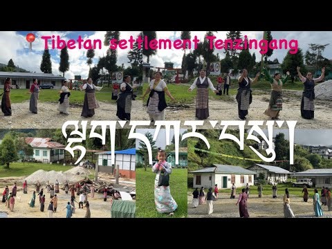 Lhakar Gorshay// ལྷ་དཀར་སྒོར་གཞས་།📍Tibetan settlement Tenzingang