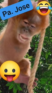 545K views · 3.7K reactions | #pontechango #humor #risas | PONTE chango | Facebook