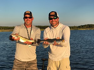 2.4K views · 33 reactions | The Pamlico Sound holds a large array of...