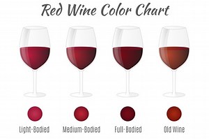 Red wine color chart., an Object Graphic by Sunshine Art Shop