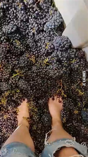 JC Kalinks-The Bluetooth. on Reels