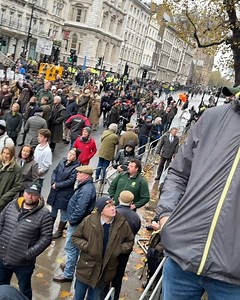 Sustainable Dish - Diana Rodgers, RD on Reels