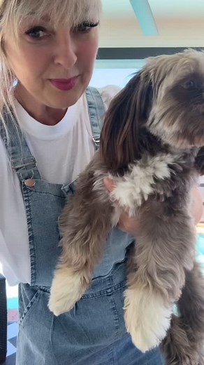 …aka get my hands nice and dirty. Dreaming of blooming banana trees and bougainvilleas, like the previous summers. Sadly both died in our Dallas TX winter. Suggestions on how to keep them alive, are so welcome. Lots of new arrivals and fun overalls at the boutique. Free people dupes. Exactly the same looks, without the hefty price tags. You are welcome girlfriend! Shop till you drop, without breaking the bank. Xo🐝 #gardeningforbeginners #shihtzusgram #newarrivalsdaily #dutchbohoboutique #chewyg