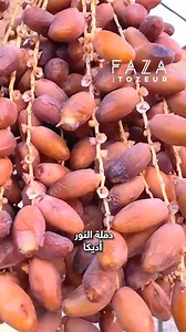 9.5K views · 172 reactions | Best Tozeur  #Oasis de Chebika  #Tozeur ❤️❤️ #توزر #welcome_to_tozeur #bienvenue_à_Tozeur #Tourisme #Tozeur #SudTunisie☀️ #best_tozeur | Best Tozeur | Facebook