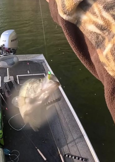 K-Fred Crappie Fishing Techniques with Float Popper