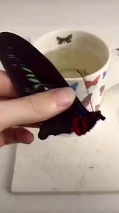 5.9K views · 164 reactions | What are you injecting into it?I am...