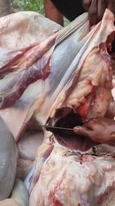 2.4M views · 10K reactions | Best beef leg cutting experience #market #localmarket #fooddelivery #latincuisine #mexicanfood #sunday #foodsale #foodvendor #latinfood #trend #shorts #eatlocal #Amazing #exclusive #sundaydinner | Social Outlet | Facebook