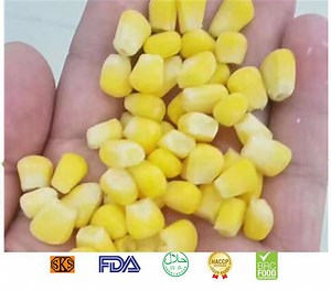[Hot Item] Premium Non-GMO Frozen Sweet Corn Kernels for Global Distribution