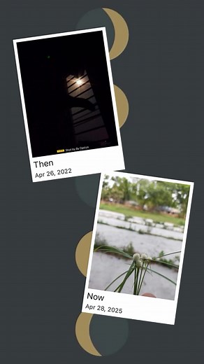 #highlighteveryone #newpost # #byAshraful #nature #transition | Ashraful Islam Tushar