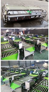 [Hot Item] Automatic Fruit Sorting & Grading Machine – Suitable for Avocado, Tomato, Apple, Mango, Melon, Kiwi