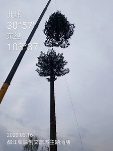[Hot Item] Historic District Compliance: Discreet Bionic Tree Towers Telecommunication Tower Steel Structure Single Tower
