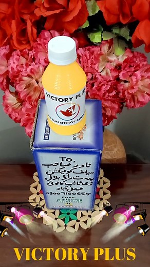 PIGEON MASTER on Reels