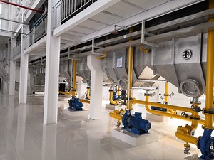 [Hot Item] Oils and Fats Extraction Machine Turnkey Edible Oil Extraction Plant