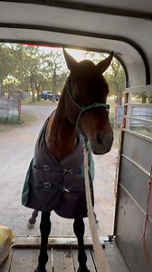 Apparently he doesn’t like to pee in the trailer | Mandy Duncan