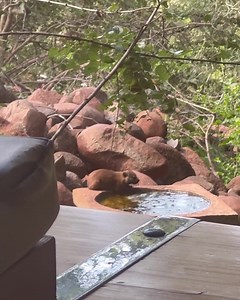 Karlien Van Jaarsveld II on Reels | Facebook