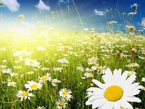 OBRA VIVA - Irmã Kelly Patricia