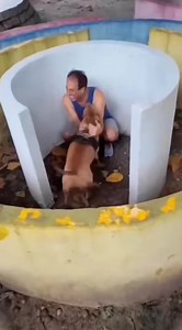 19K views · 206 reactions | The maze runner. | Sebastian Cafe Latin Restaurant | Facebook