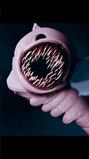 Under One Person 2 | Feng Baobao’s Extreme Bug Eating Challenge 🐛🔥