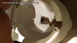 Girl fast poop
