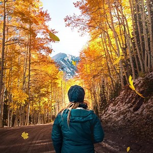 1.4K views · 1.9K reactions | From the most awe-inspiring foliage views to the healing hot springs circuit, find a close-to-home road trip that fits your mood. | Visit Colorado | Facebook