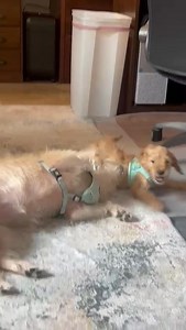 Beach Condos In Destin on Reels | Facebook