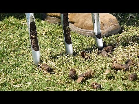 How to do a Spring Lawn Renovation | E3 – Alleviating Compaction / Aerating & Core Aeration