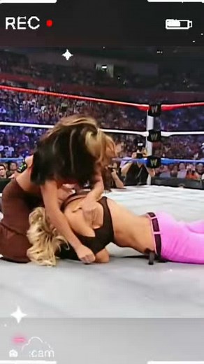 Torrie Wilson WWE Match Highlights